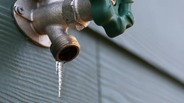 Best Plumbing Inspection Services  in Patton Village, TX